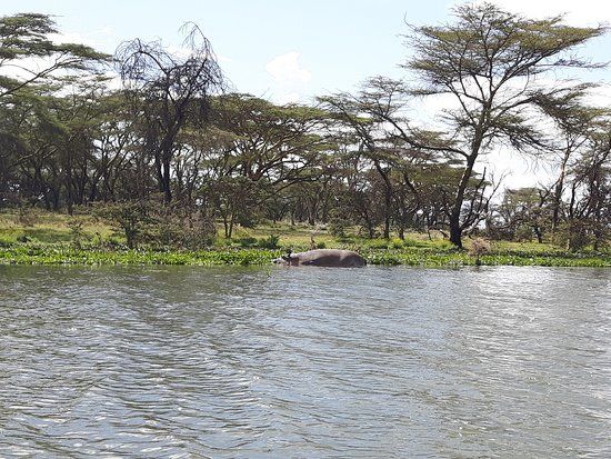 Lake Naivasha